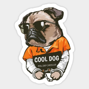 Pug dog in prison Sticker